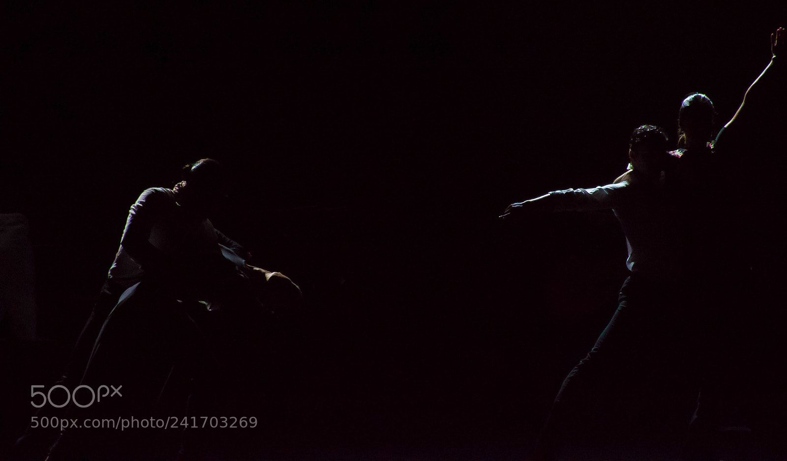 Nikon D7100 sample photo. Untitled photography