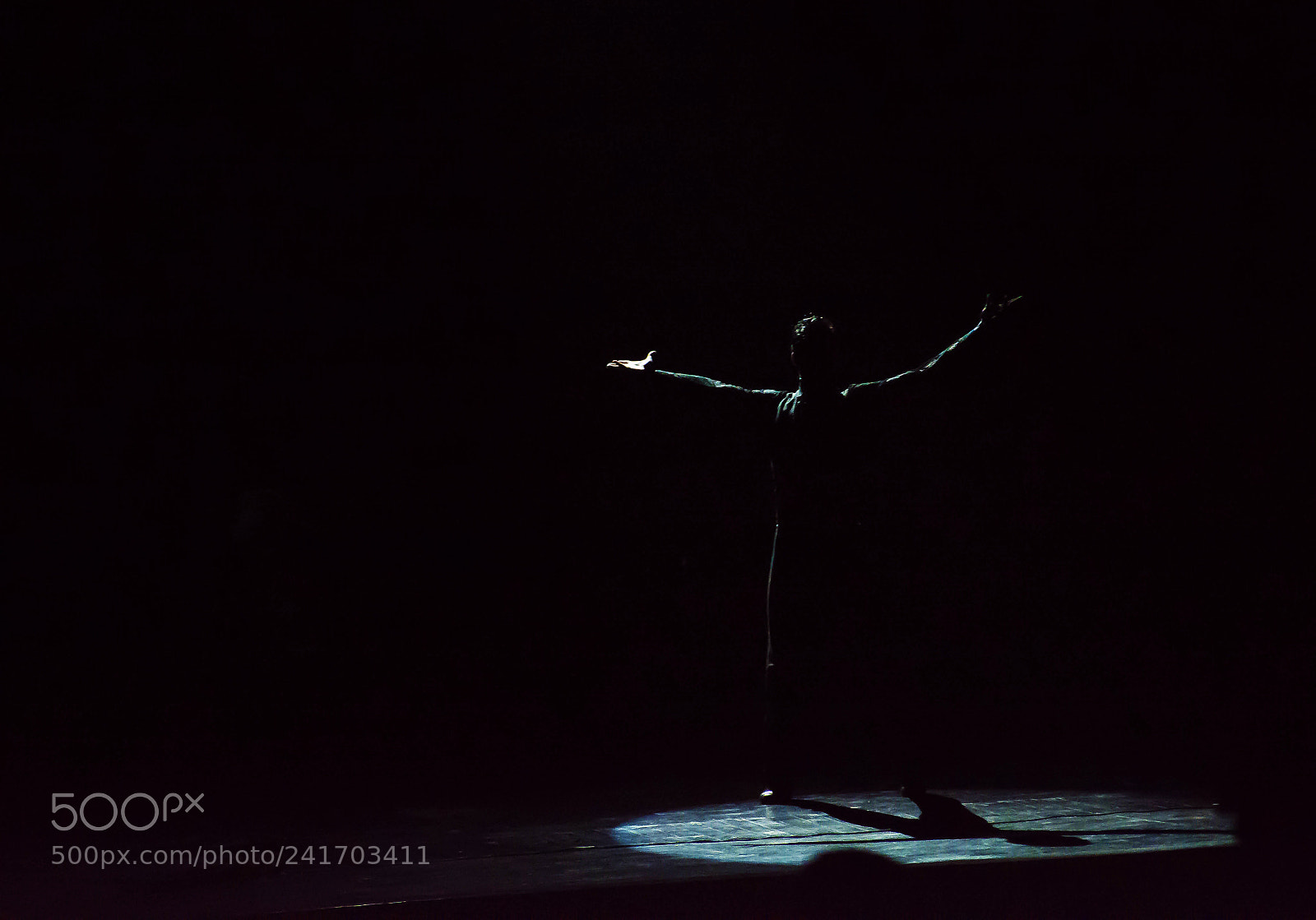 Nikon D7100 sample photo. Untitled photography