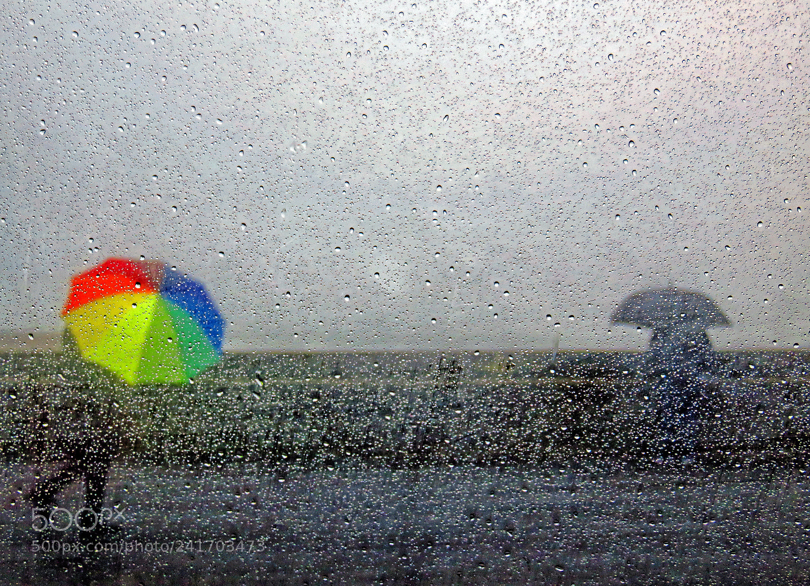 Canon PowerShot SX700 HS sample photo. Untitled photography