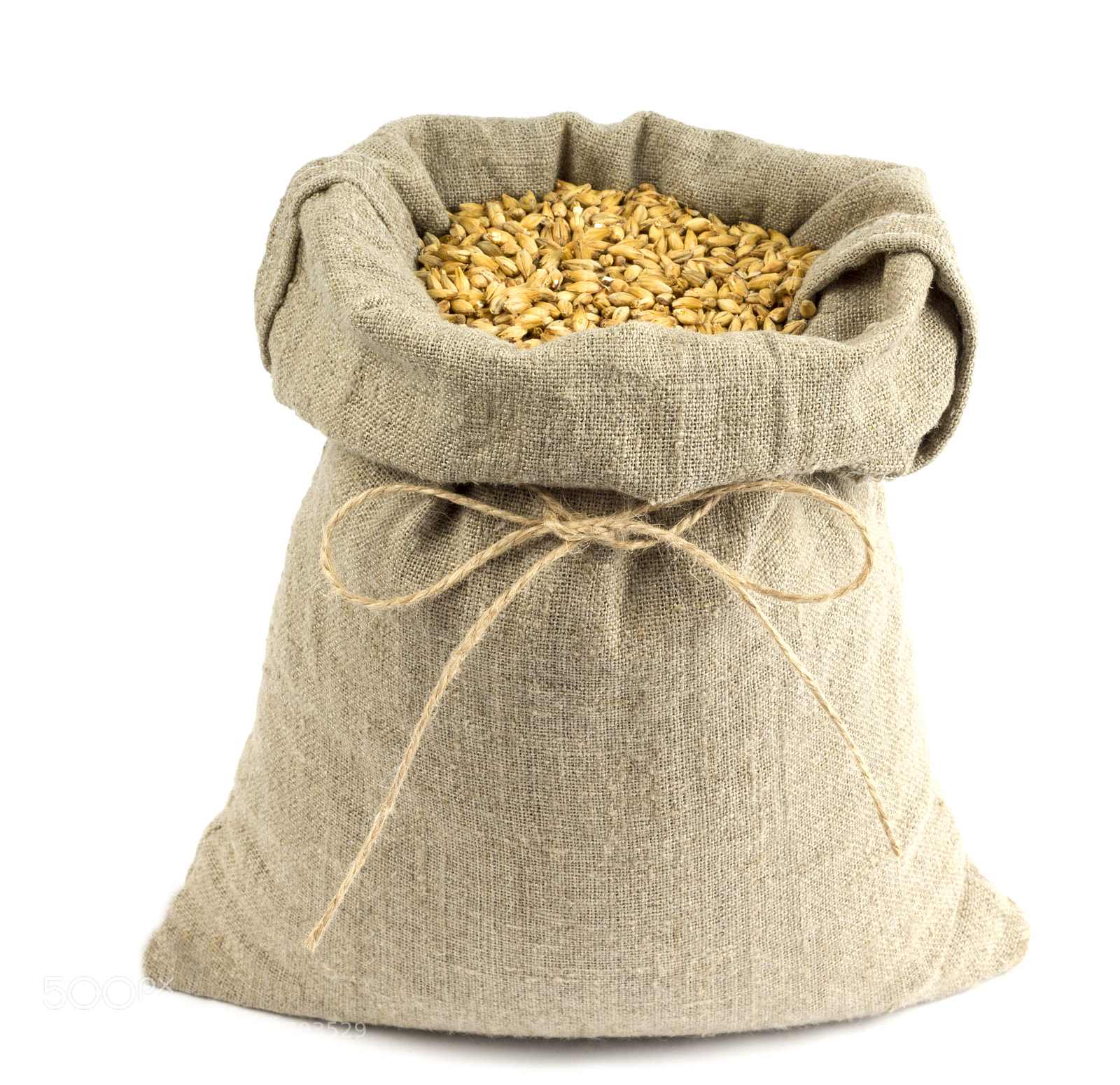 Canon EOS 1200D (EOS Rebel T5 / EOS Kiss X70 / EOS Hi) sample photo. A sack of malt photography