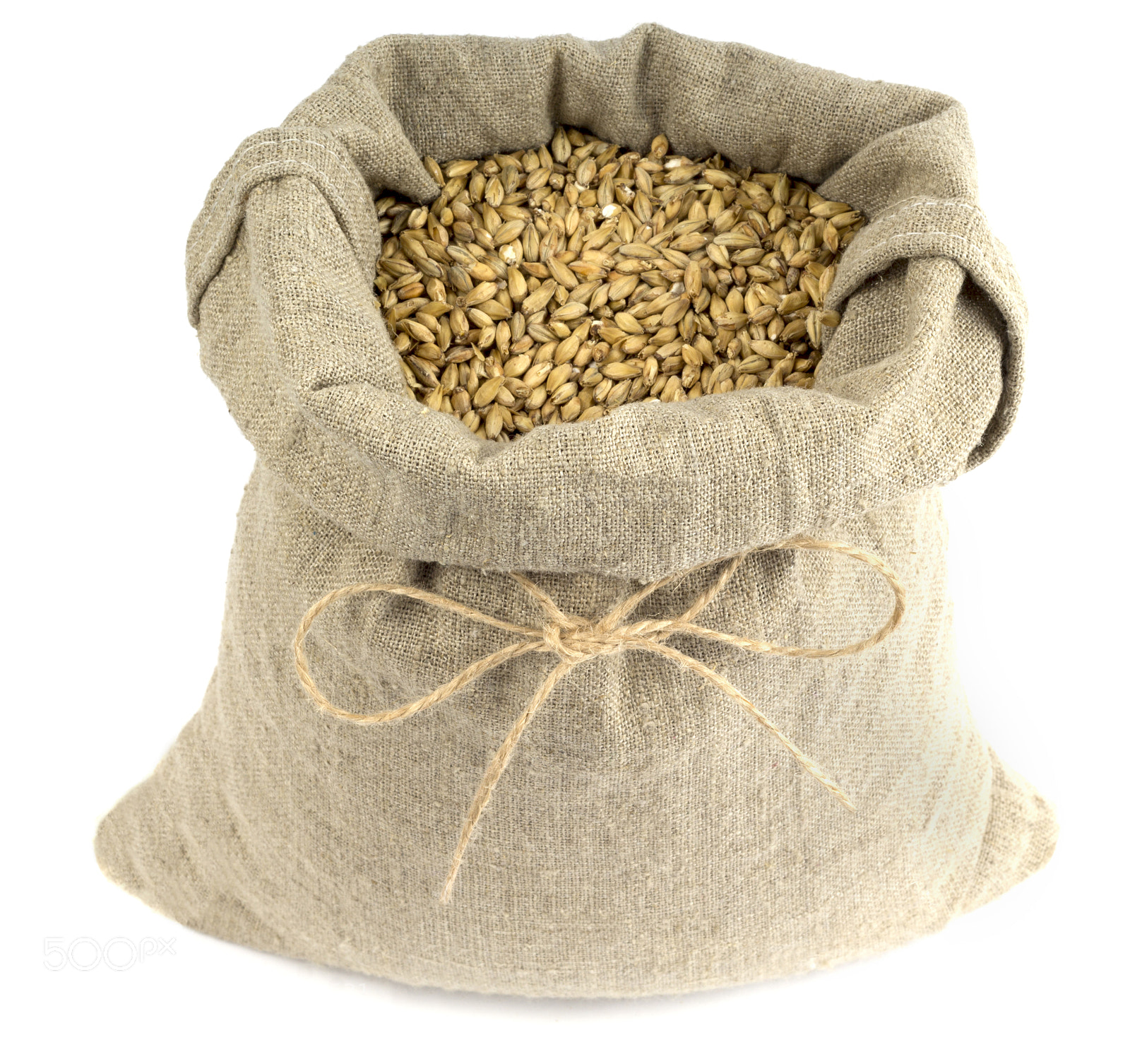 Canon EOS 1200D (EOS Rebel T5 / EOS Kiss X70 / EOS Hi) sample photo. A sack of malt photography
