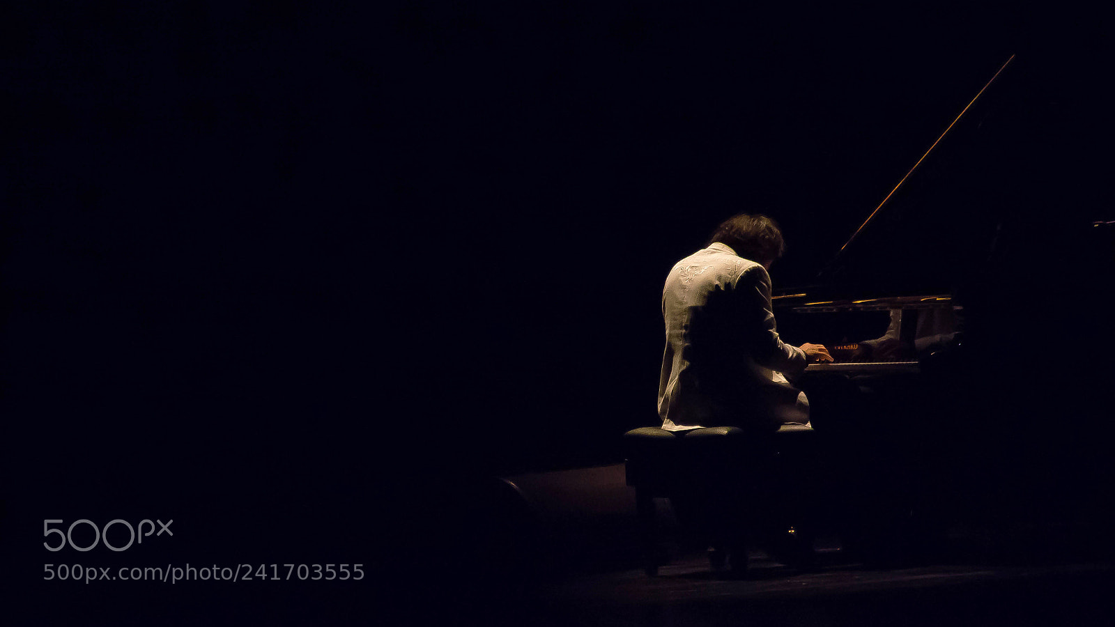 Nikon D7100 sample photo. Untitled photography