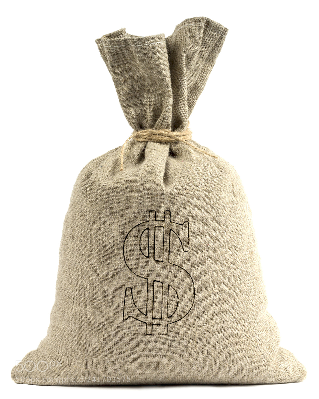 Canon EOS 1200D (EOS Rebel T5 / EOS Kiss X70 / EOS Hi) sample photo. Bank bag with dollars photography