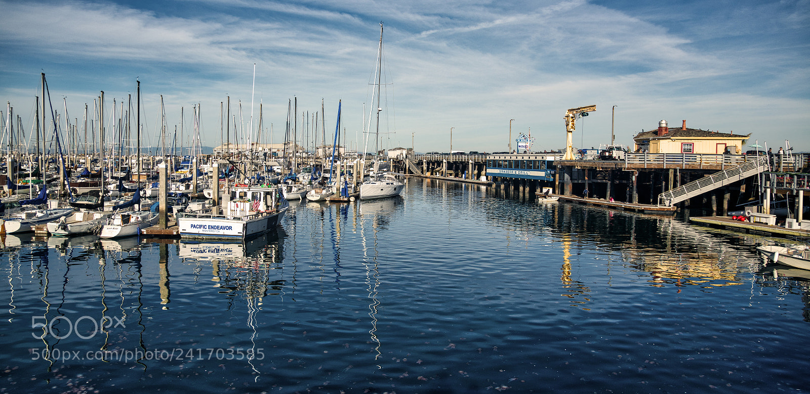 Nikon D850 sample photo. Monterey fisherman's wharf marina photography