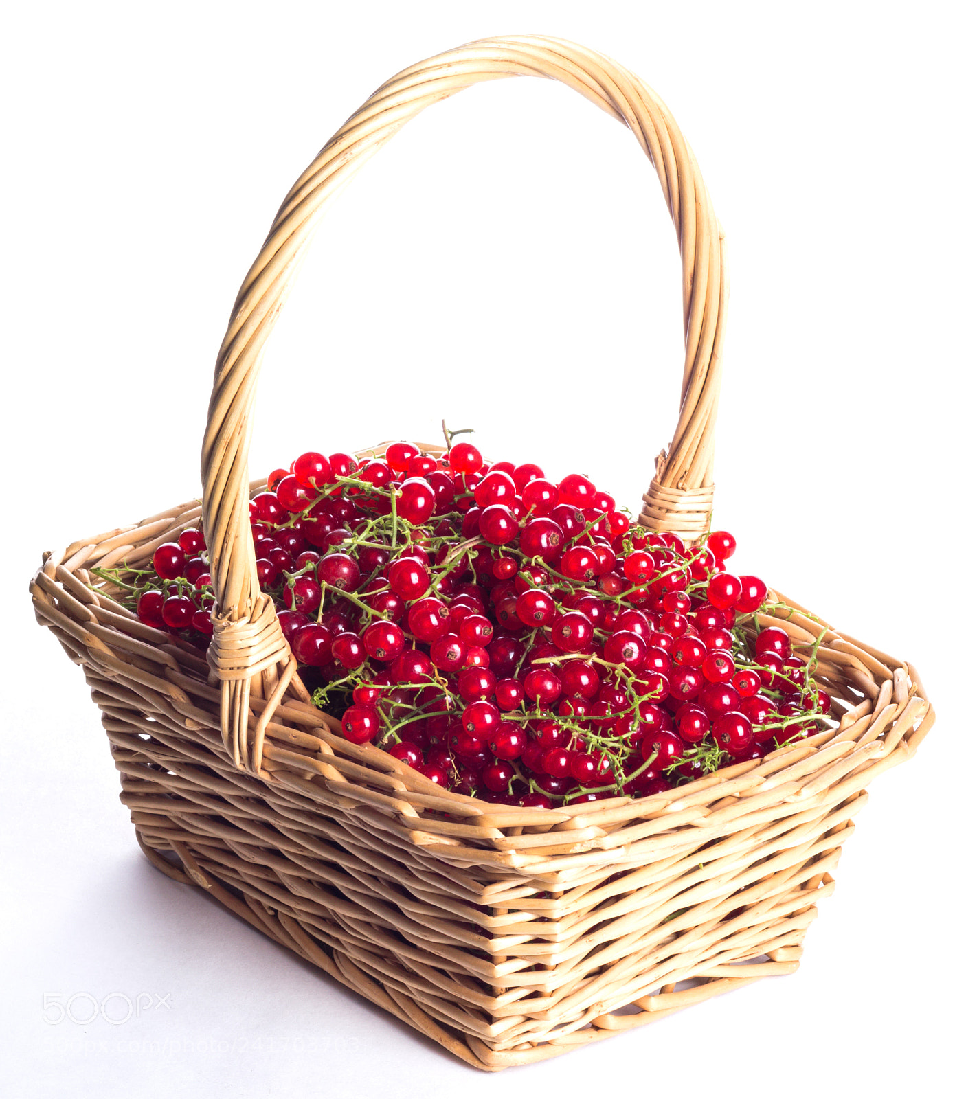 Canon EOS 1200D (EOS Rebel T5 / EOS Kiss X70 / EOS Hi) sample photo. Collected fresh red currants photography