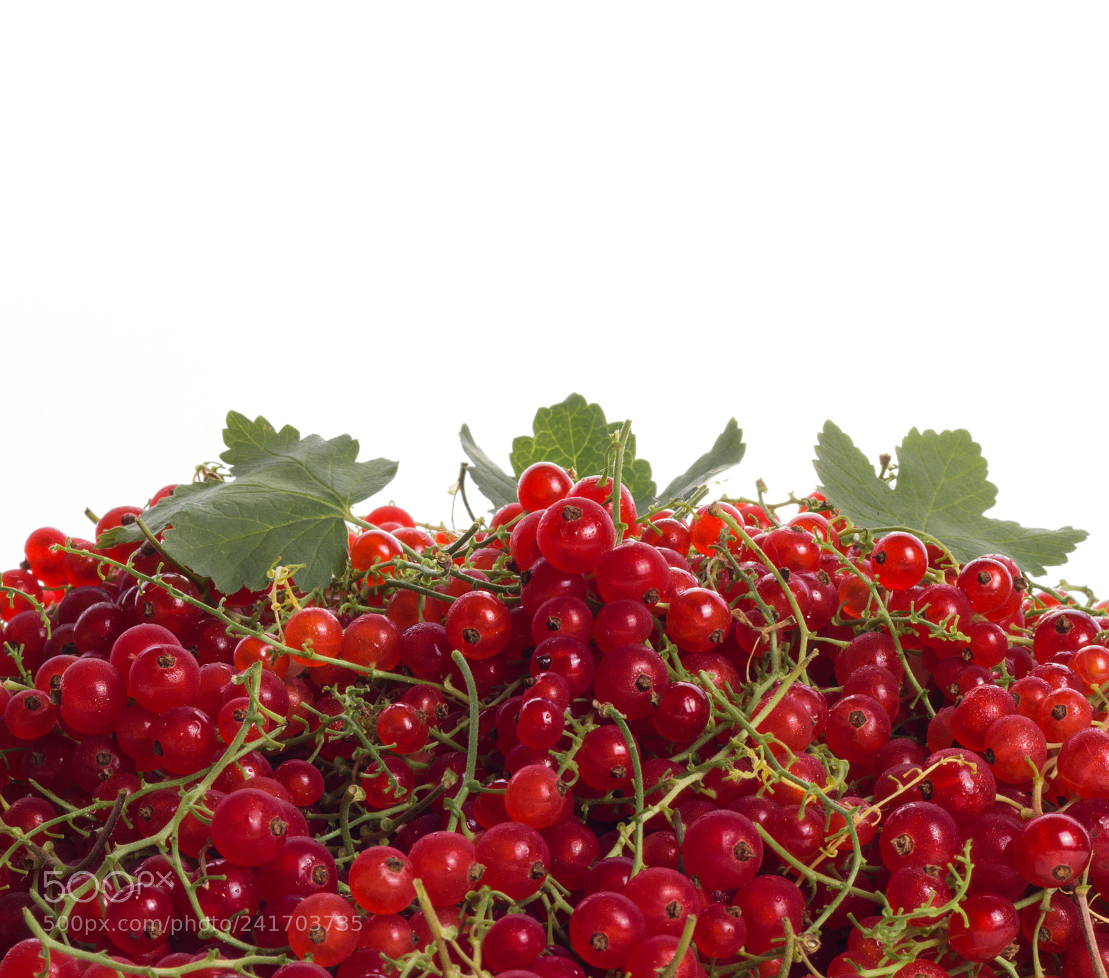 Canon EOS 1200D (EOS Rebel T5 / EOS Kiss X70 / EOS Hi) sample photo. Delicious ripe red currants photography