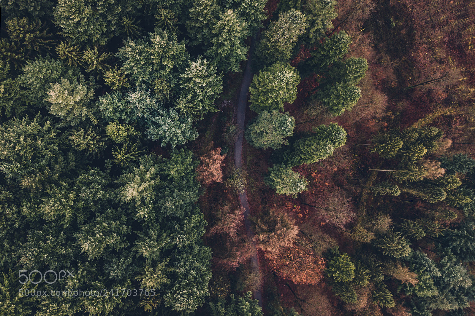 DJI FC220 sample photo. Http://weinheim.photos photography
