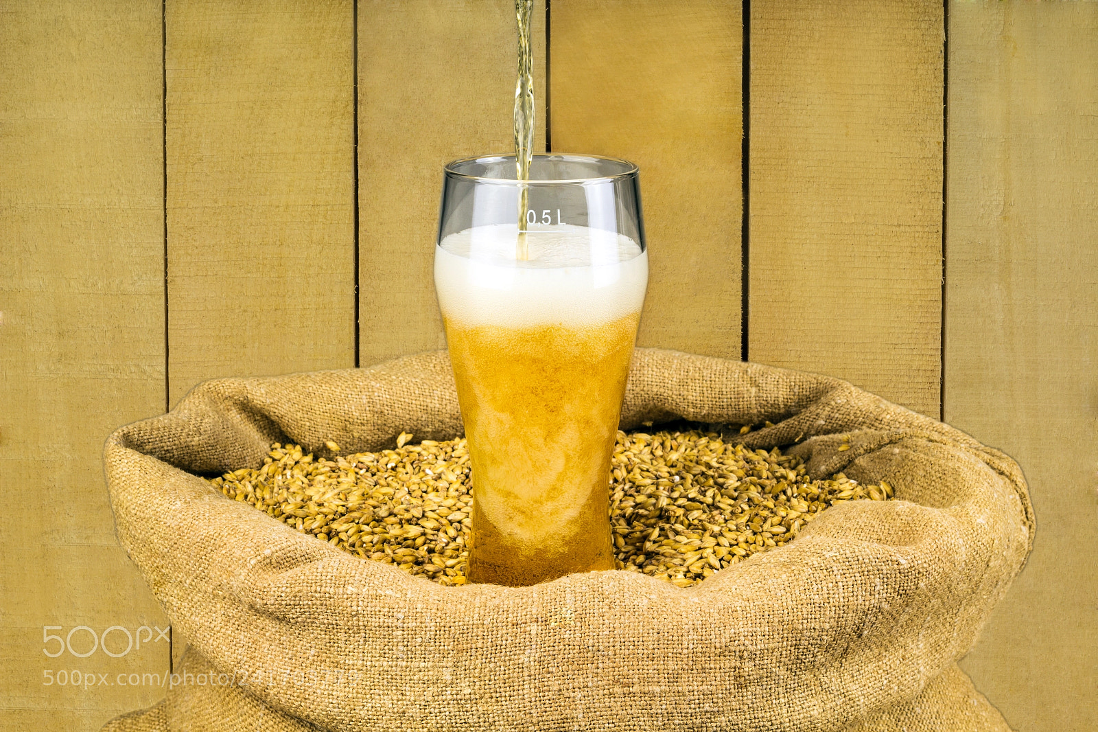 Canon EOS 1200D (EOS Rebel T5 / EOS Kiss X70 / EOS Hi) sample photo. Fresh foamy beer photography