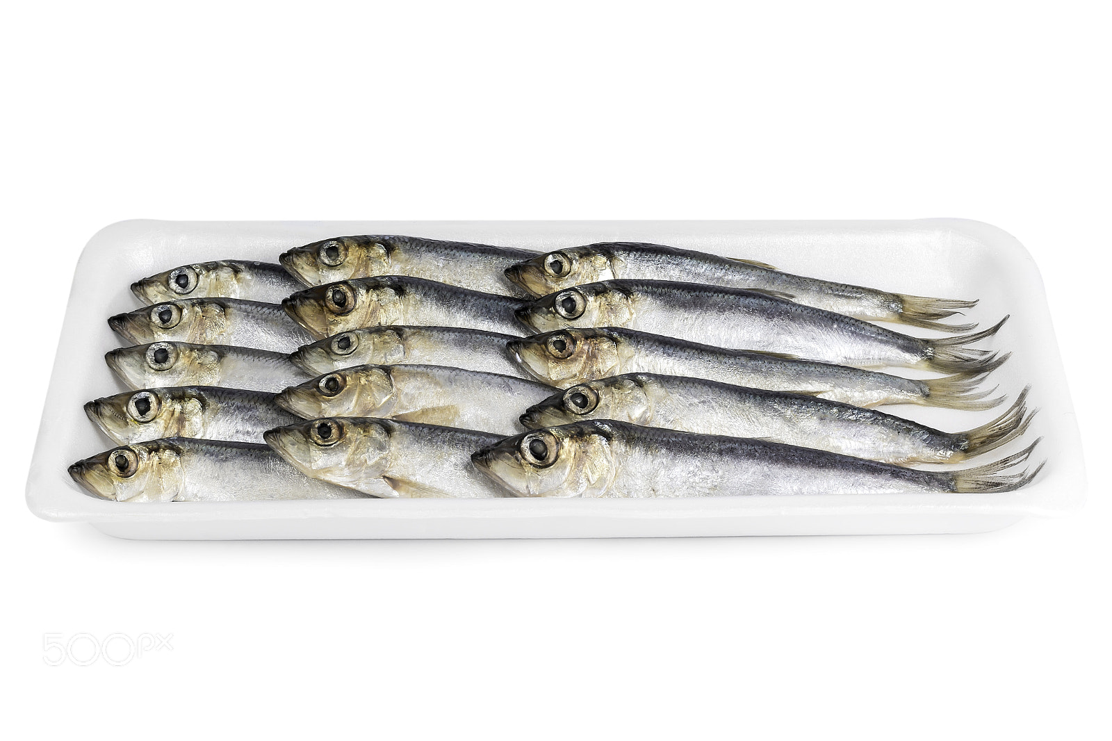 Canon EOS 1200D (EOS Rebel T5 / EOS Kiss X70 / EOS Hi) sample photo. Fresh ocean fish photography