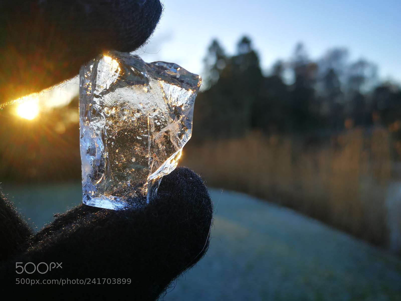 HUAWEI P10 sample photo. Winter's treasure photography