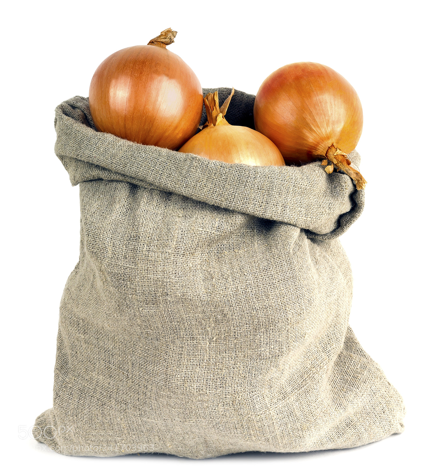 Canon EOS 1200D (EOS Rebel T5 / EOS Kiss X70 / EOS Hi) sample photo. Onions in bag photography