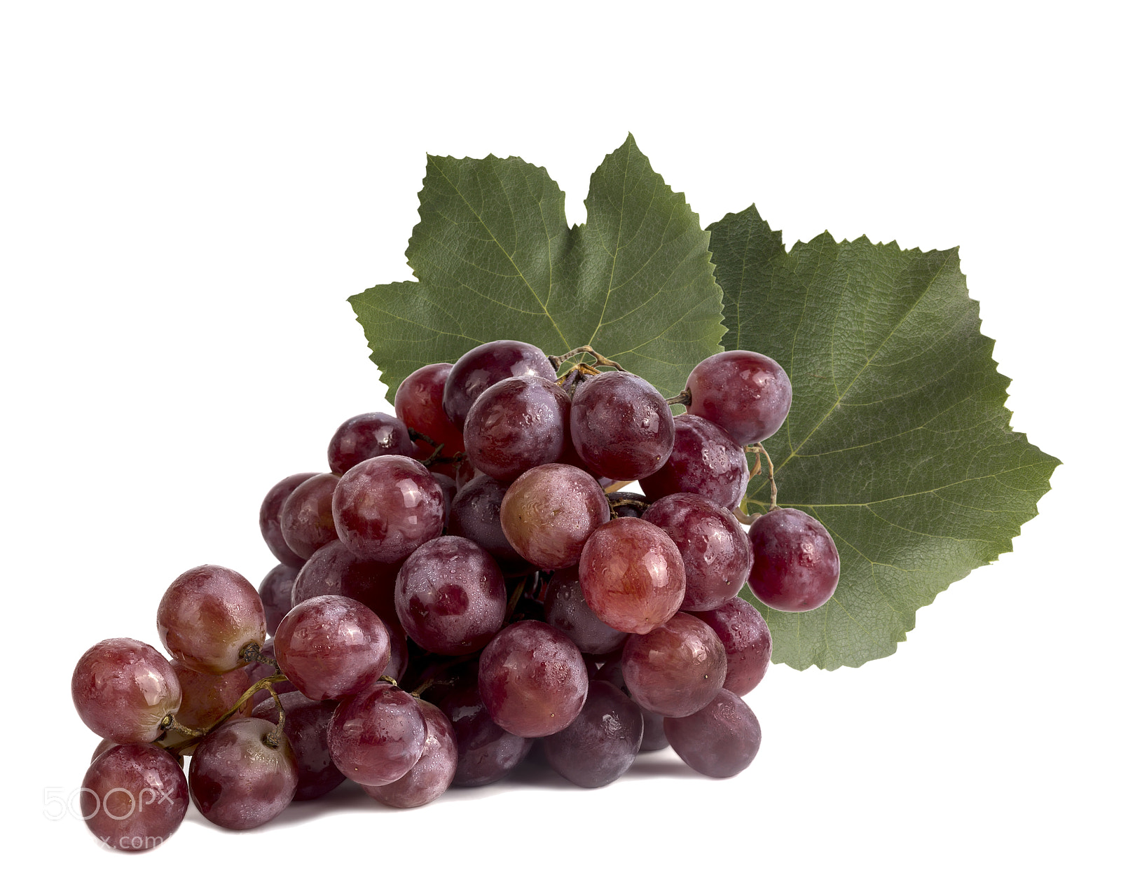 Canon EOS 1200D (EOS Rebel T5 / EOS Kiss X70 / EOS Hi) sample photo. Pink grapes with leaves photography