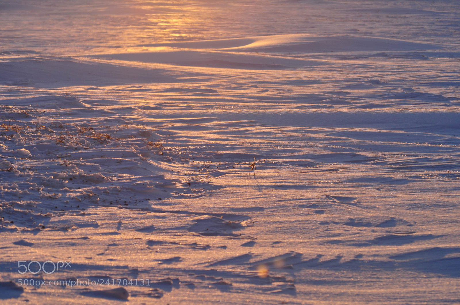 Nikon D5000 sample photo. Frozen tundra photography