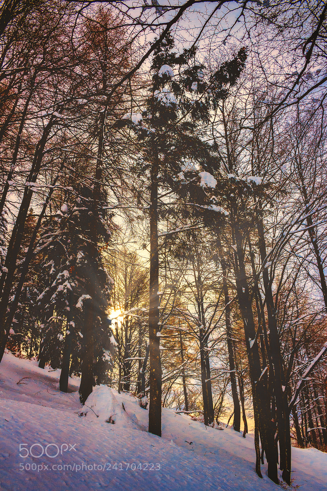 Canon EOS 100D (EOS Rebel SL1 / EOS Kiss X7) sample photo. Snowy sunset photography