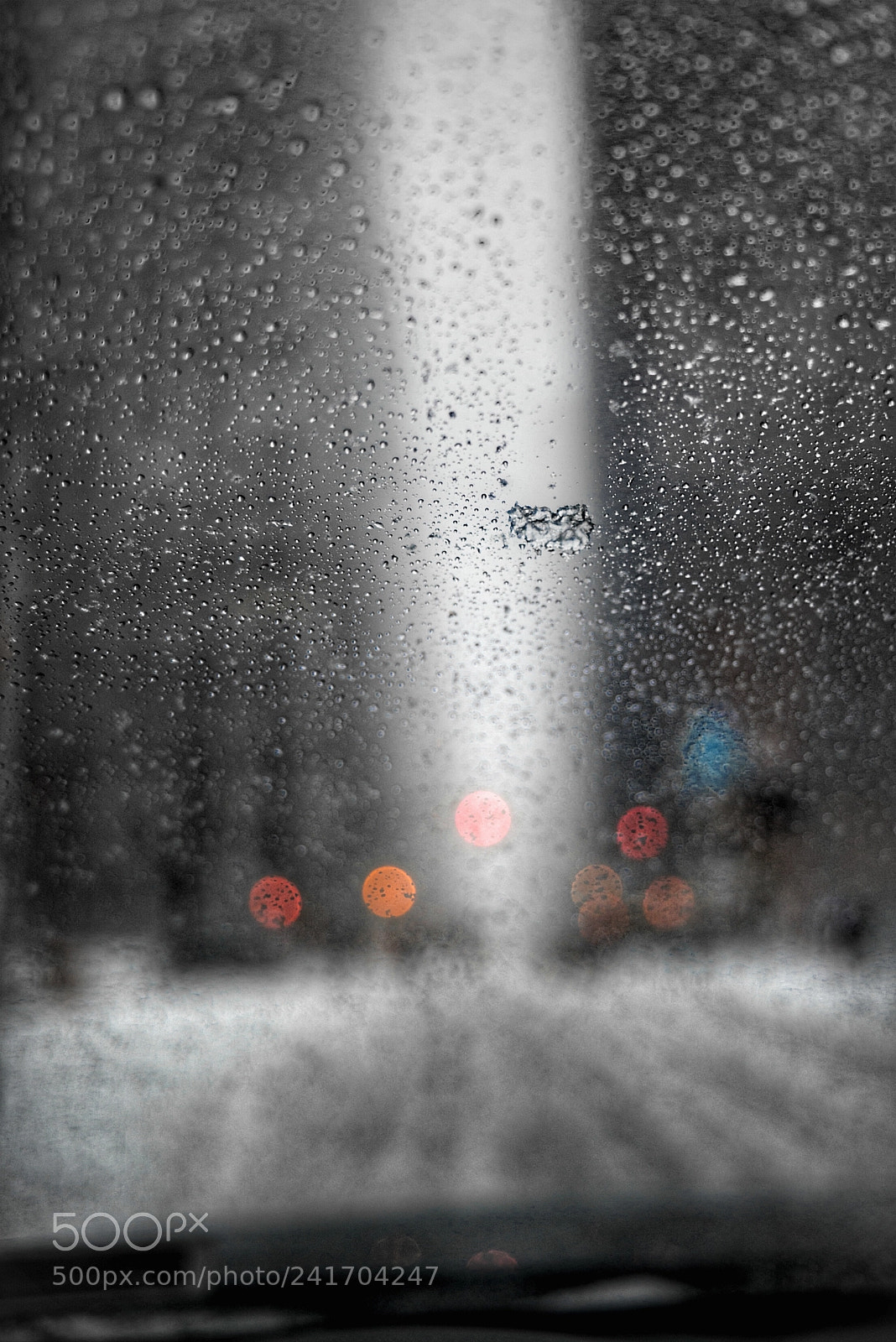 Nikon D800 sample photo. Untitled photography