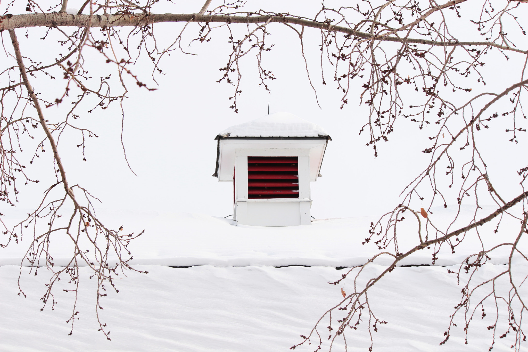 Canon EF-S 55-250mm F4-5.6 IS II sample photo. Red cupola photography