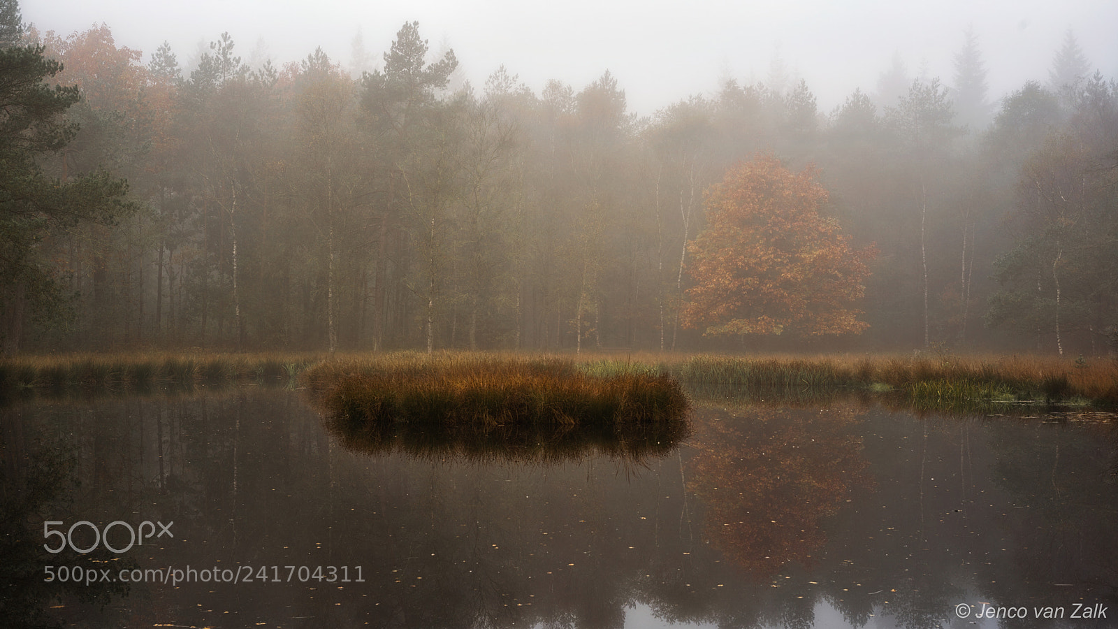 Nikon D800E sample photo. Lake pluizenmeer photography