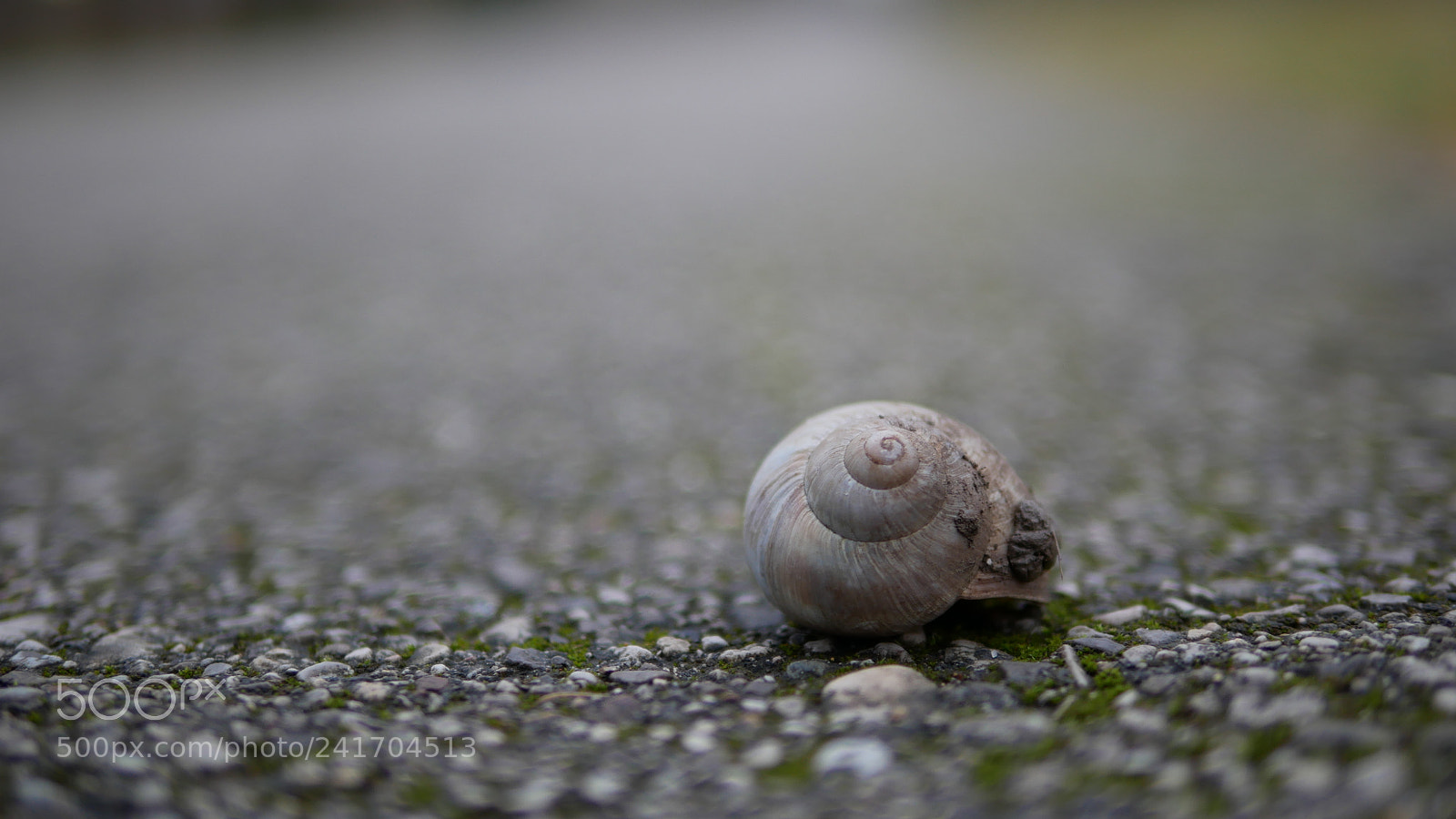 Panasonic Lumix DMC-GX85 (Lumix DMC-GX80 / Lumix DMC-GX7 Mark II) sample photo. An empty shell waiting photography