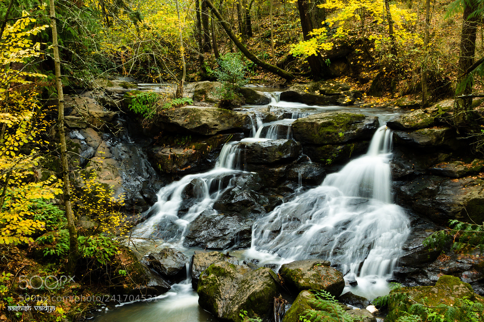Canon EOS 600D (Rebel EOS T3i / EOS Kiss X5) sample photo. Cedar mills falls photography