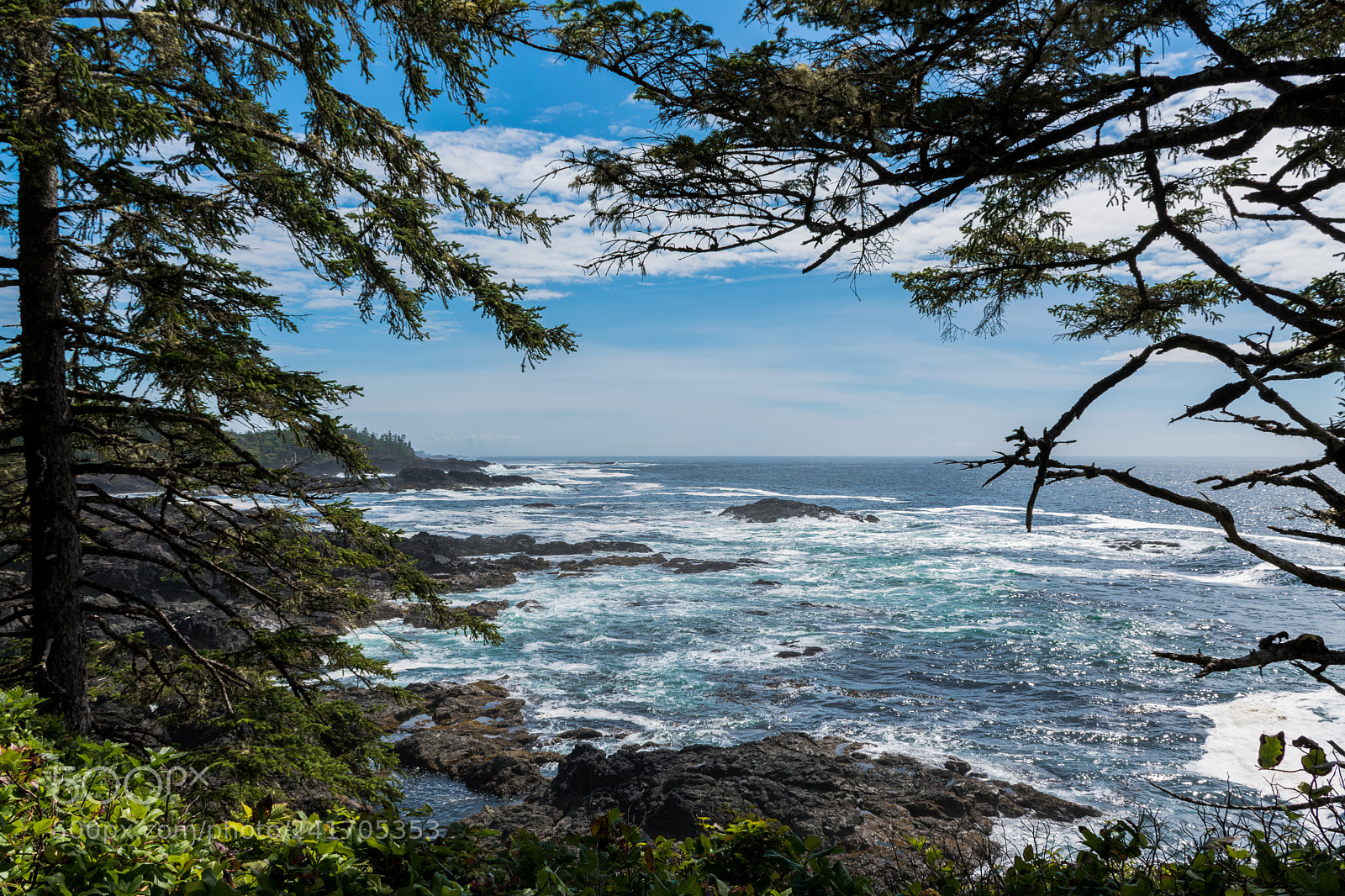 Nikon D5500 sample photo. Pacific ocean photography