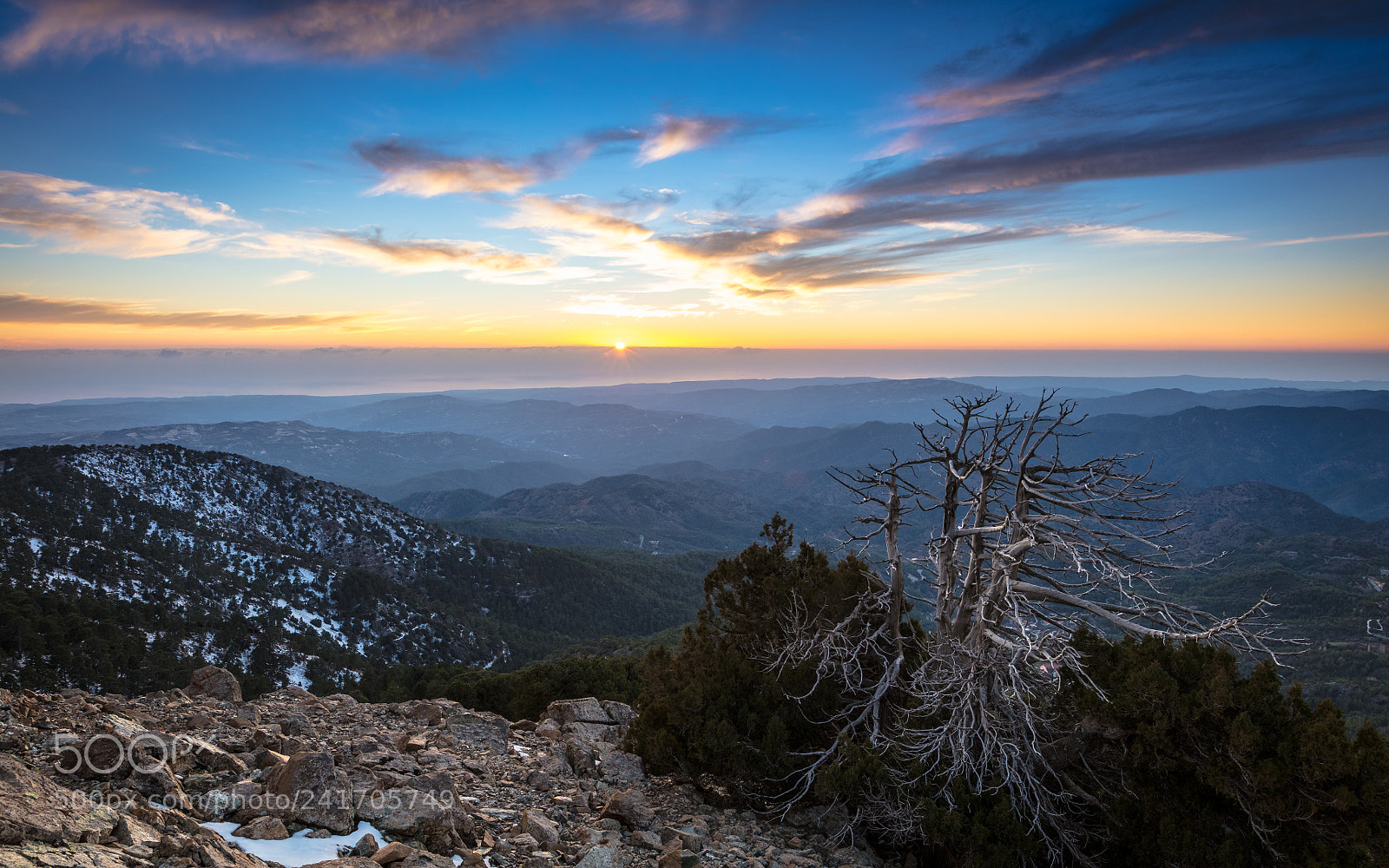 Canon EOS 5DS R sample photo. Artemis trail sunset photography