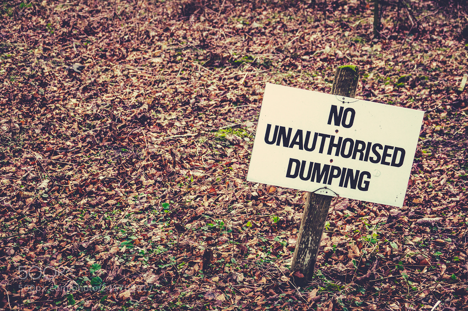 Sony Cyber-shot DSC-RX10 III sample photo. No dumping sign photography