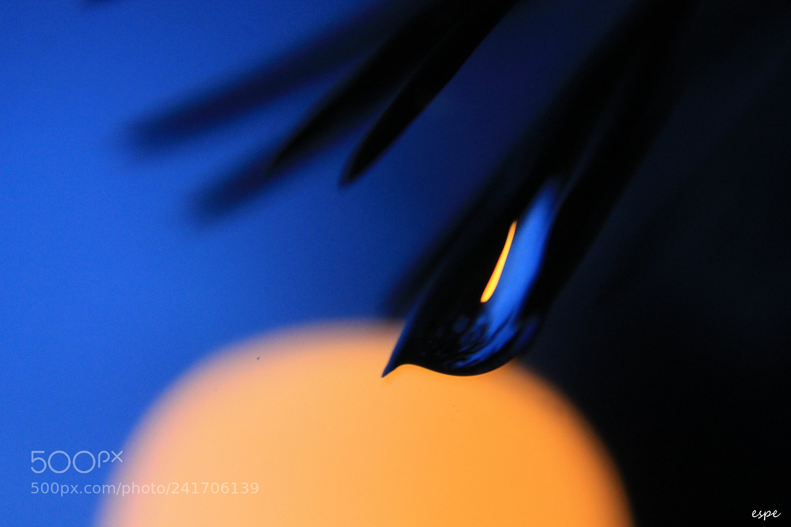 Canon EF-S 18-55mm F3.5-5.6 III sample photo. Gota photography