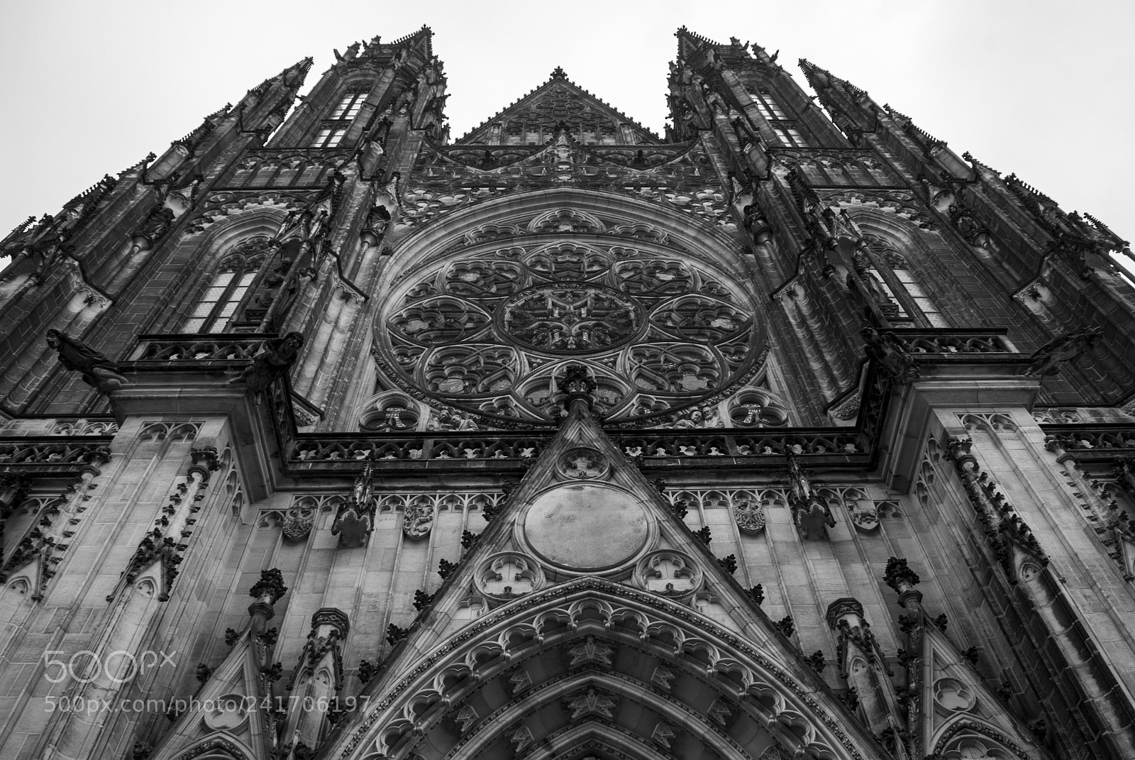 Nikon D3000 sample photo. Giant photography