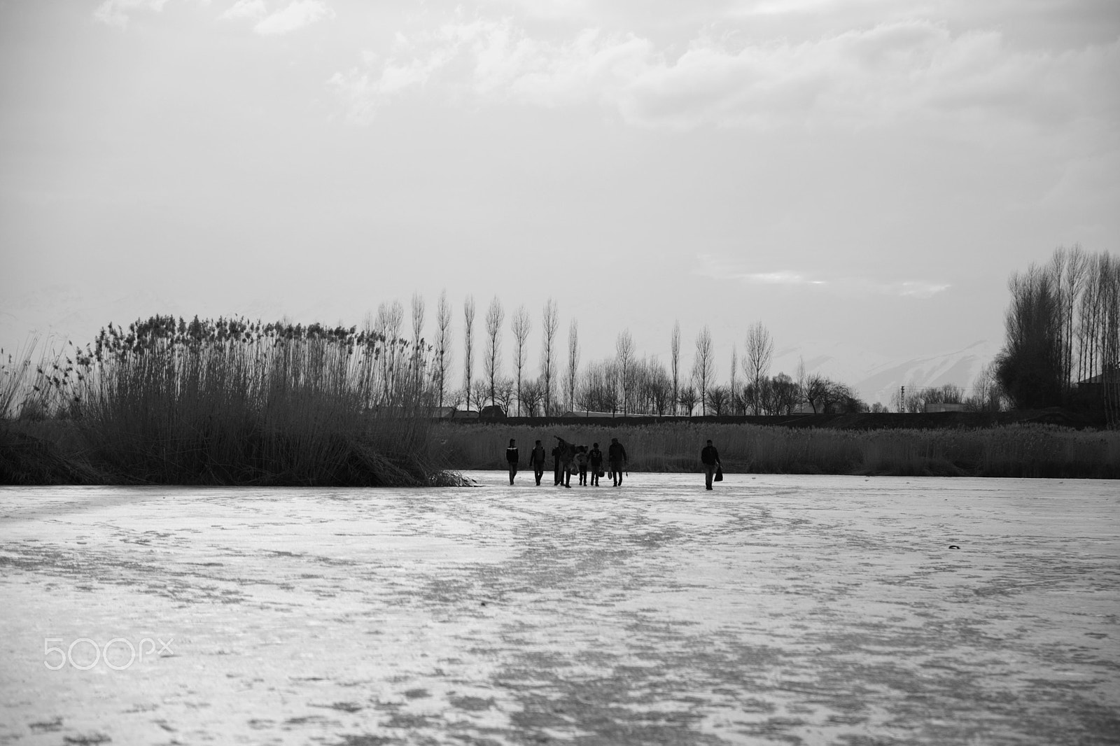 Sigma 17-70mm F2.8-4 DC Macro OS HSM | C sample photo. On the ice photography