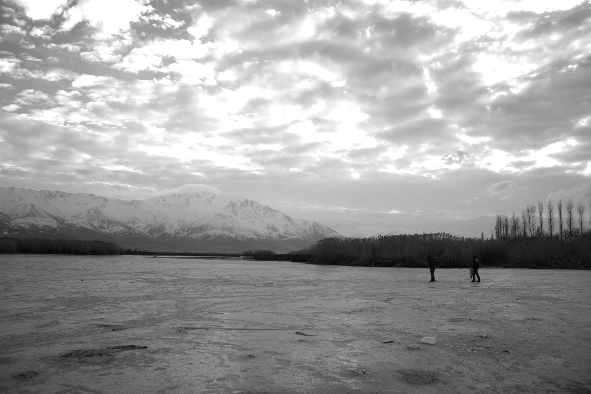 Sigma 17-70mm F2.8-4 DC Macro OS HSM | C sample photo. On the ice photography
