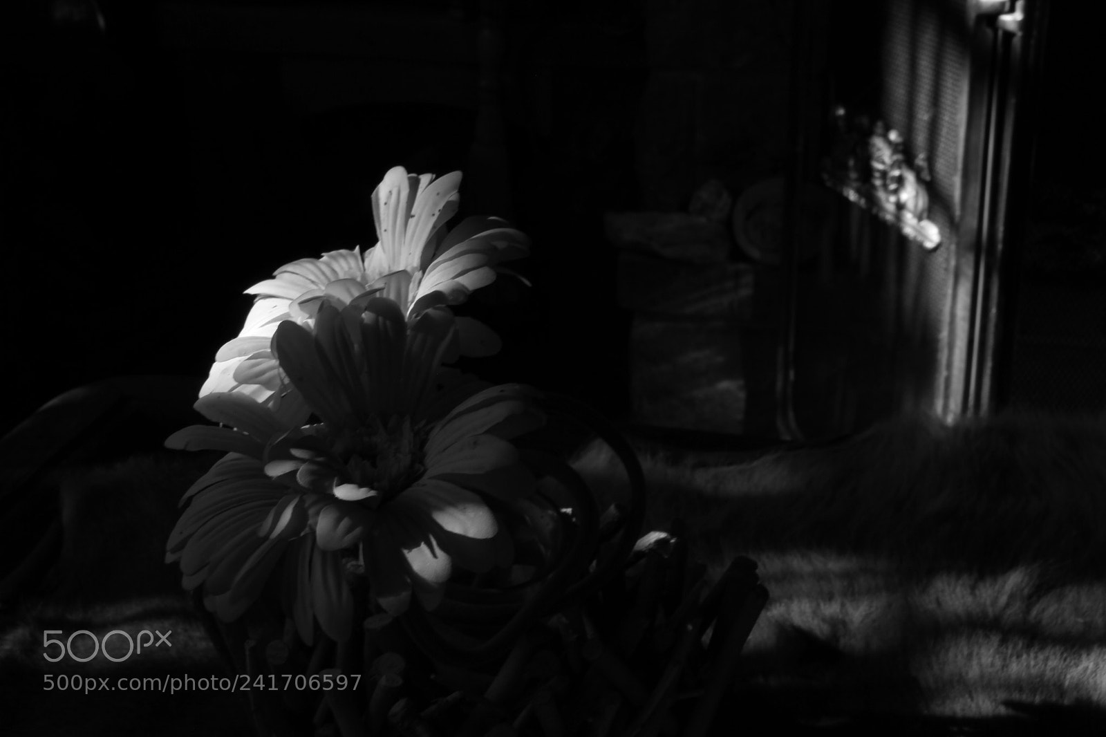Canon EF-S 18-200mm F3.5-5.6 IS sample photo. Still life. photography