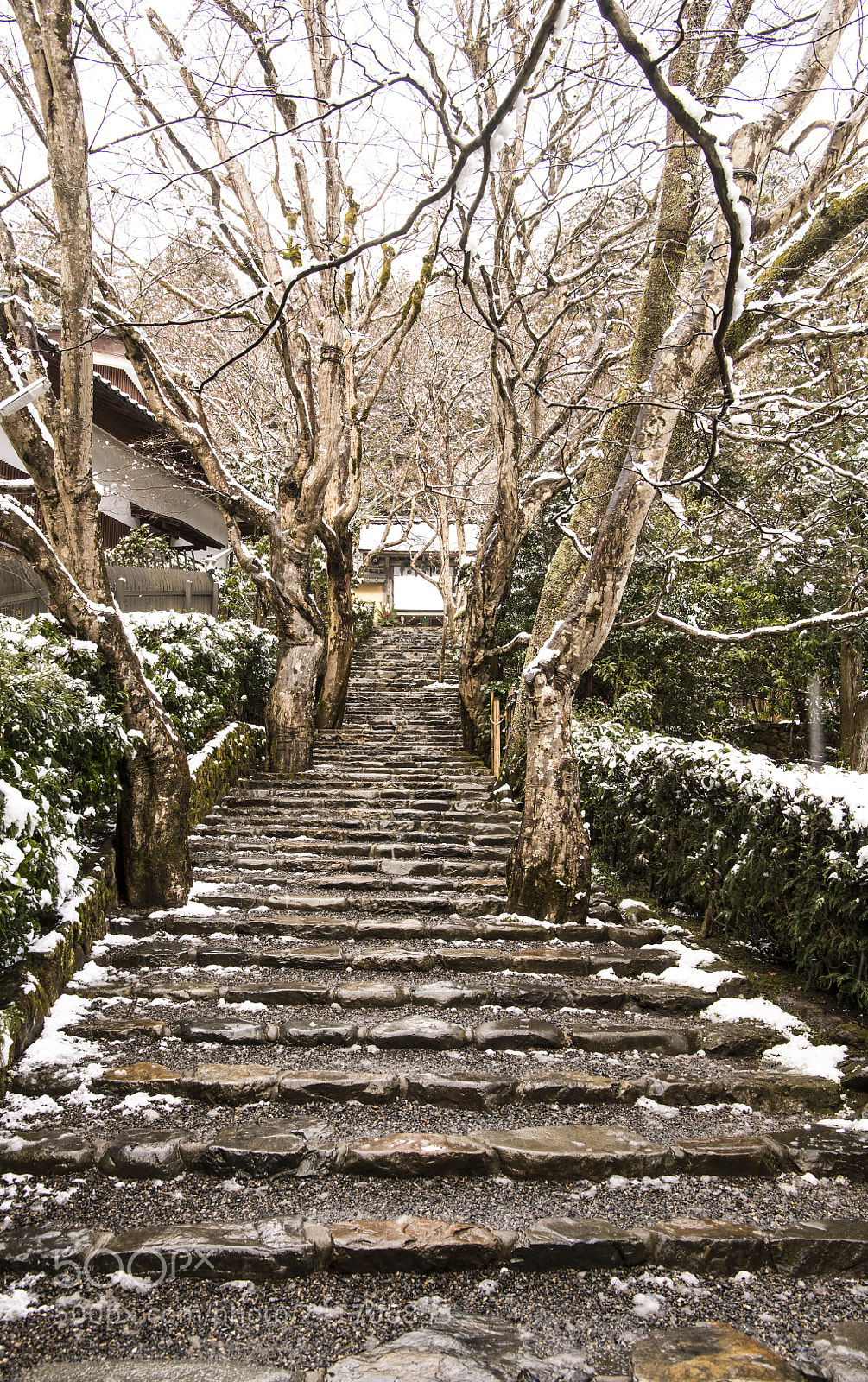 Nikon D850 sample photo. Jakko-in where it snowed photography