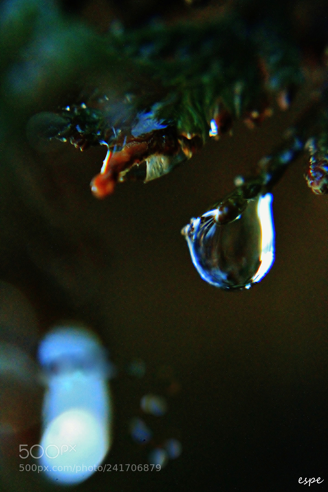 Canon EOS 1100D (EOS Rebel T3 / EOS Kiss X50) sample photo. Gota ll photography