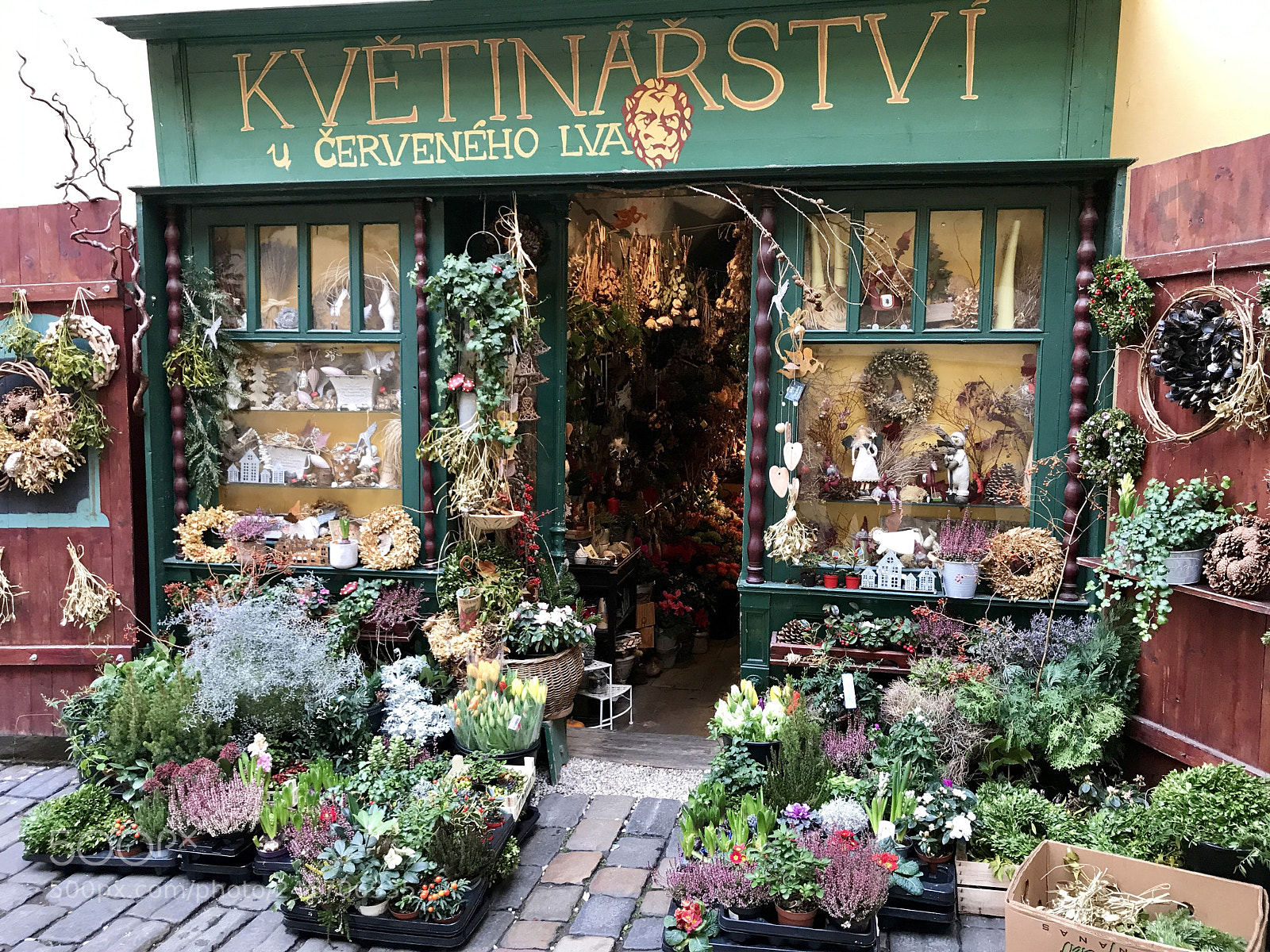 Apple iPhone 7 Plus sample photo. Prague flower shop photography