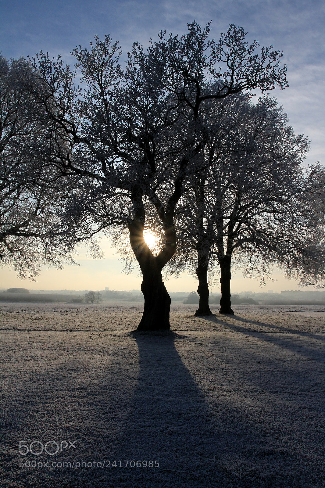 Canon EOS 7D + Canon EF 17-40mm F4L USM sample photo. Early morning photography