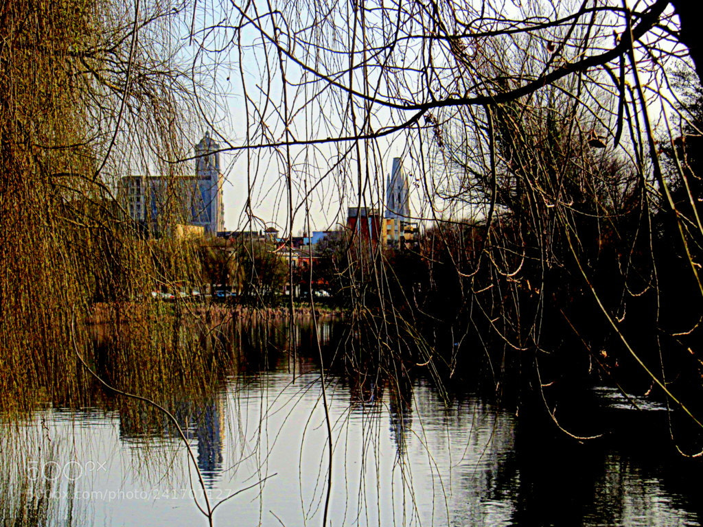 Canon PowerShot SX200 IS sample photo. Fluvial photography