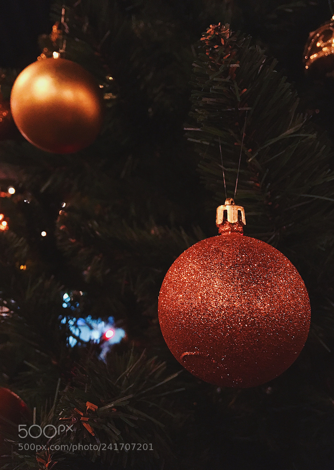 Apple iPhone SE sample photo. Christmas tree photography