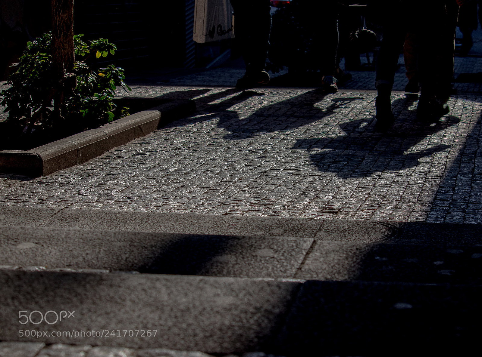 Canon EOS 800D (EOS Rebel T7i / EOS Kiss X9i) sample photo. Shadows photography