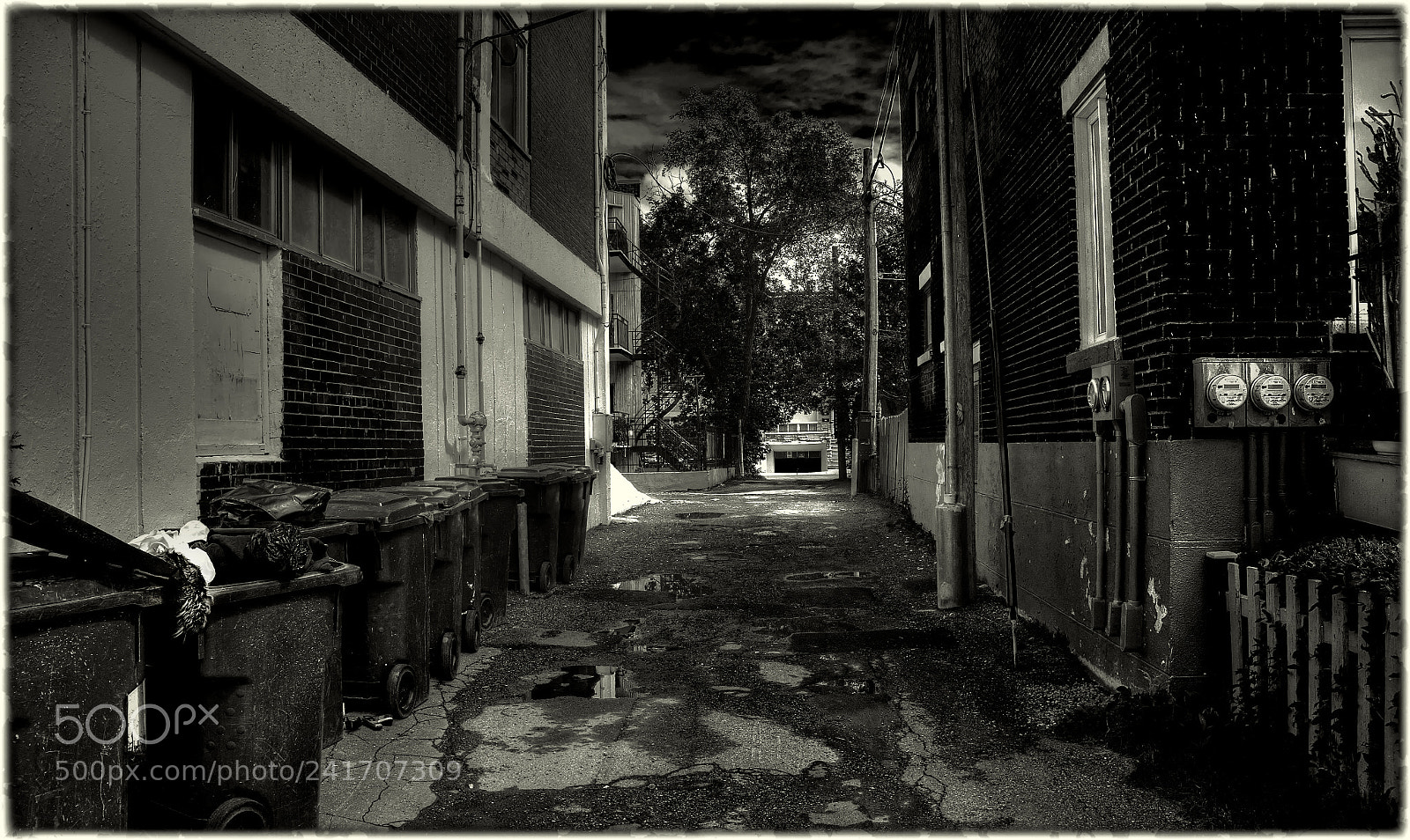 Fujifilm X100S sample photo. The unknown tail photography