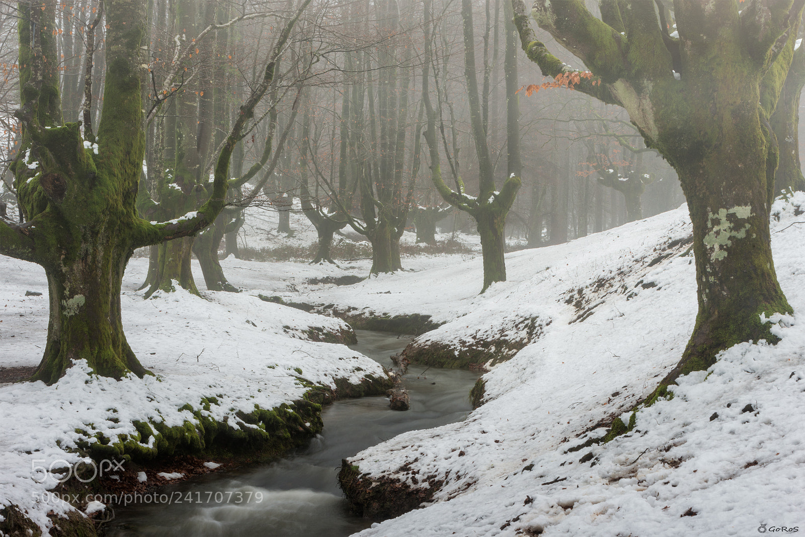 Nikon D800 sample photo. Mystic river photography