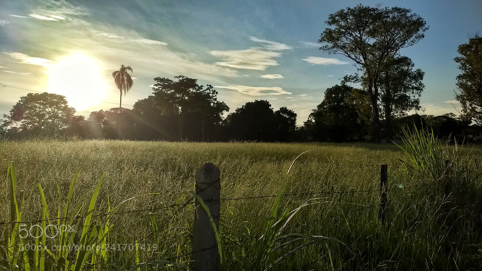 Motorola Moto G (5) Plus sample photo. Amanhecer photography