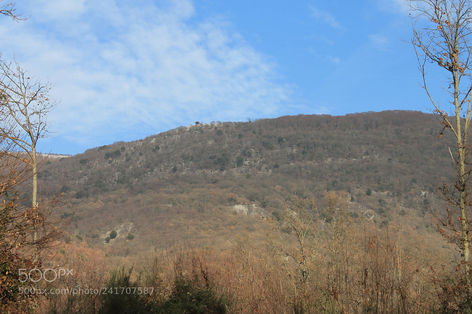 Canon EF-S 18-55mm F3.5-5.6 III sample photo. Untitled photography