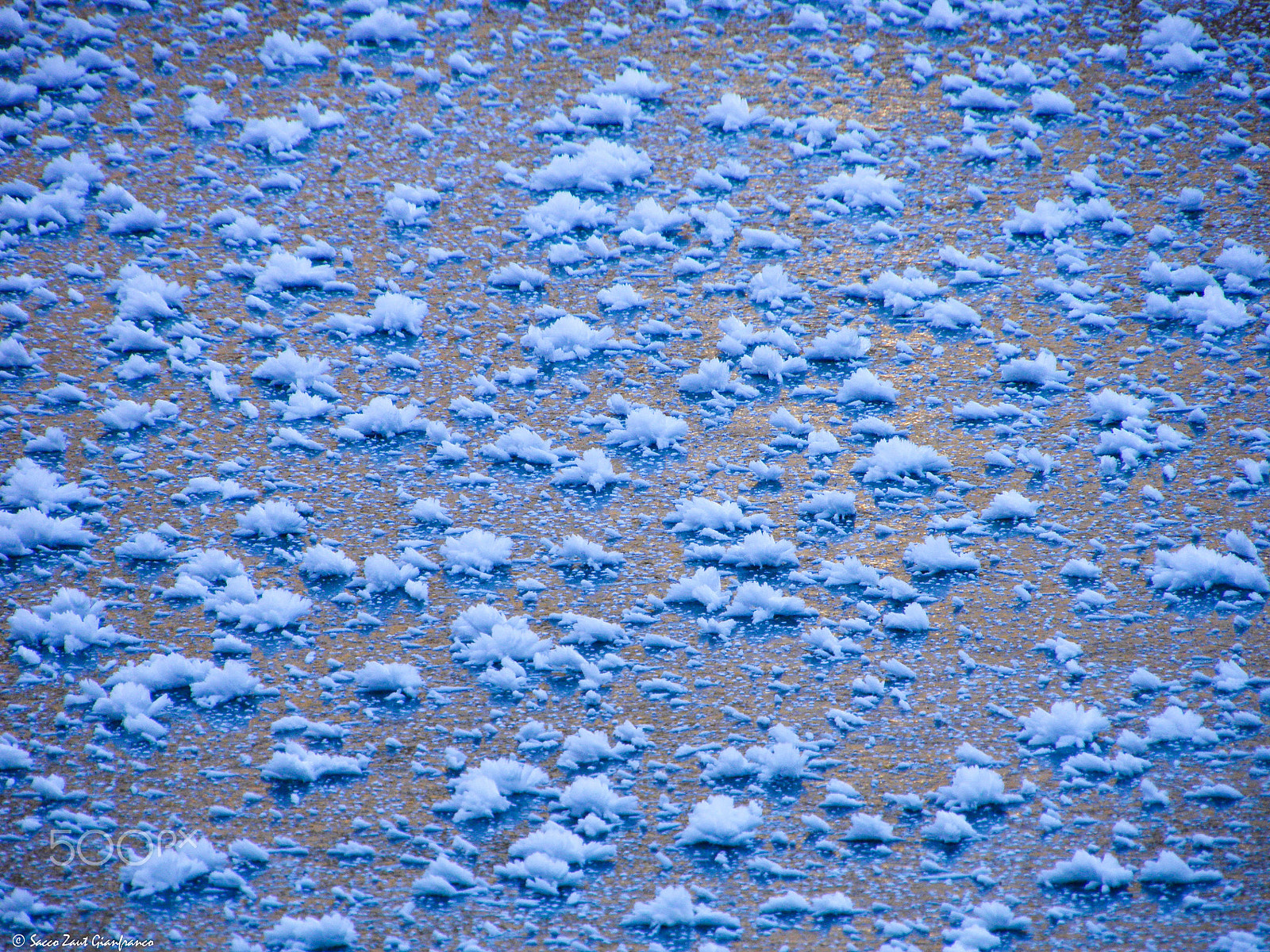 Olympus SP800UZ sample photo. Flakes on ice photography