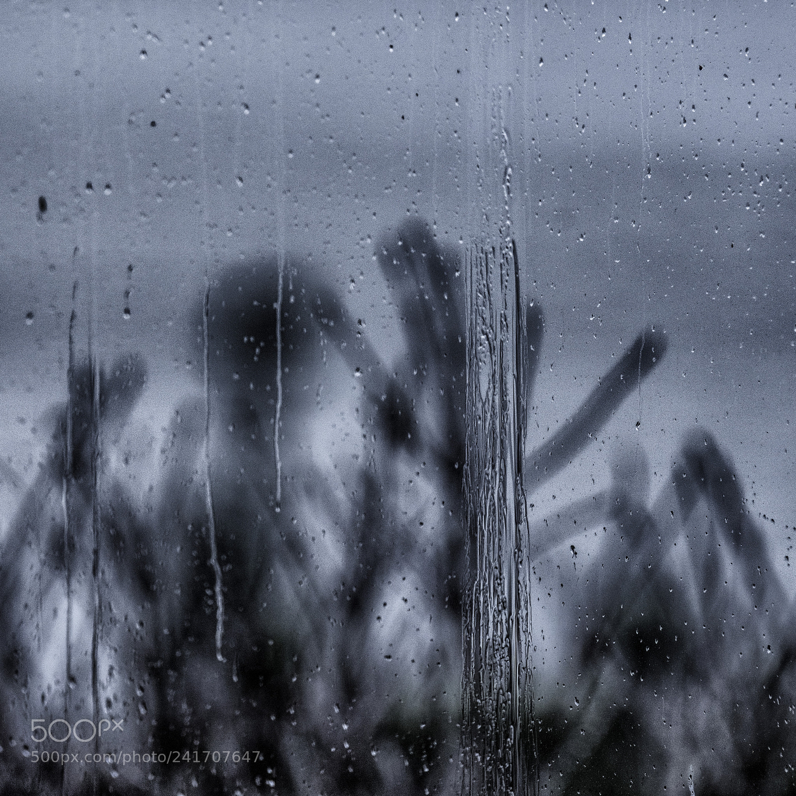 Fujifilm X-T2 sample photo. Double entendre photography