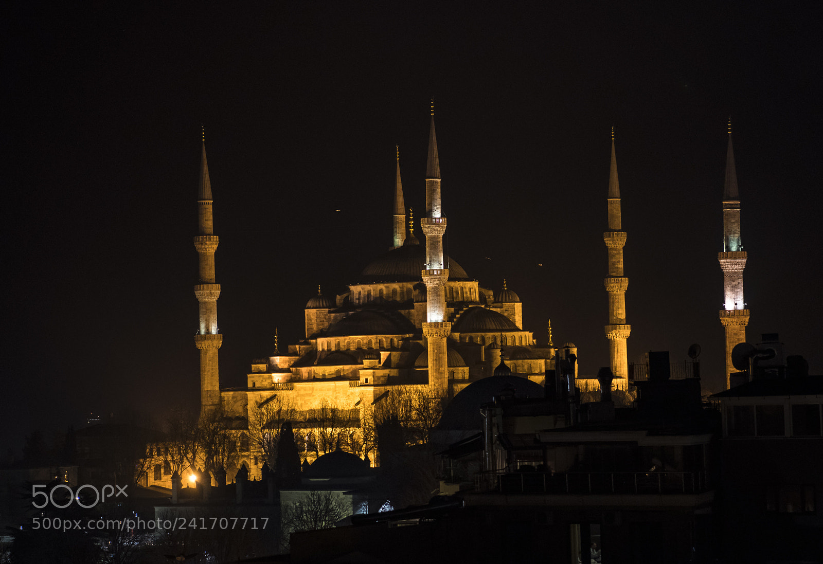 Nikon D850 sample photo. The golden glorious koh-e-noor photography