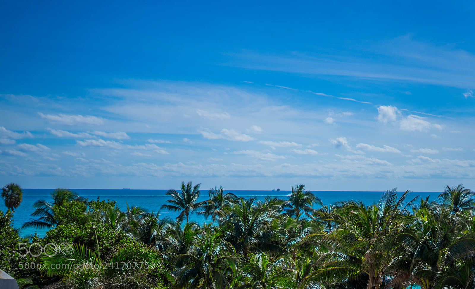 Sony a7 sample photo. Blue photography