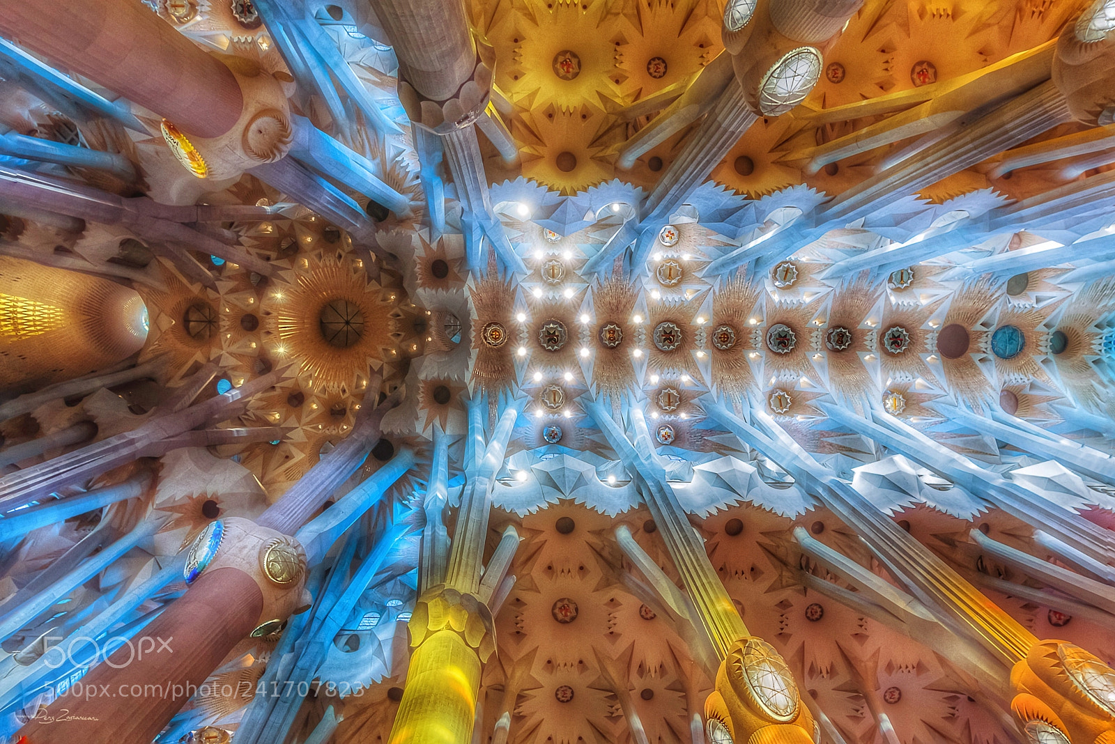 Nikon D810 sample photo. Sagra de coloristico photography