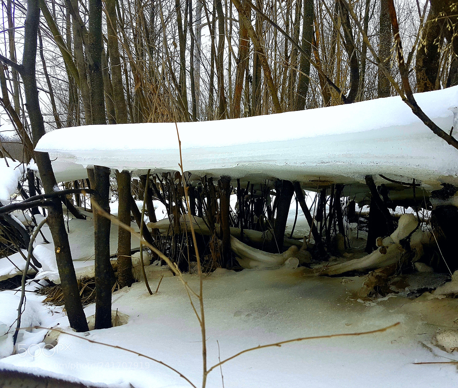 Samsung Galaxy S7 Edge sample photo. Untitled photography