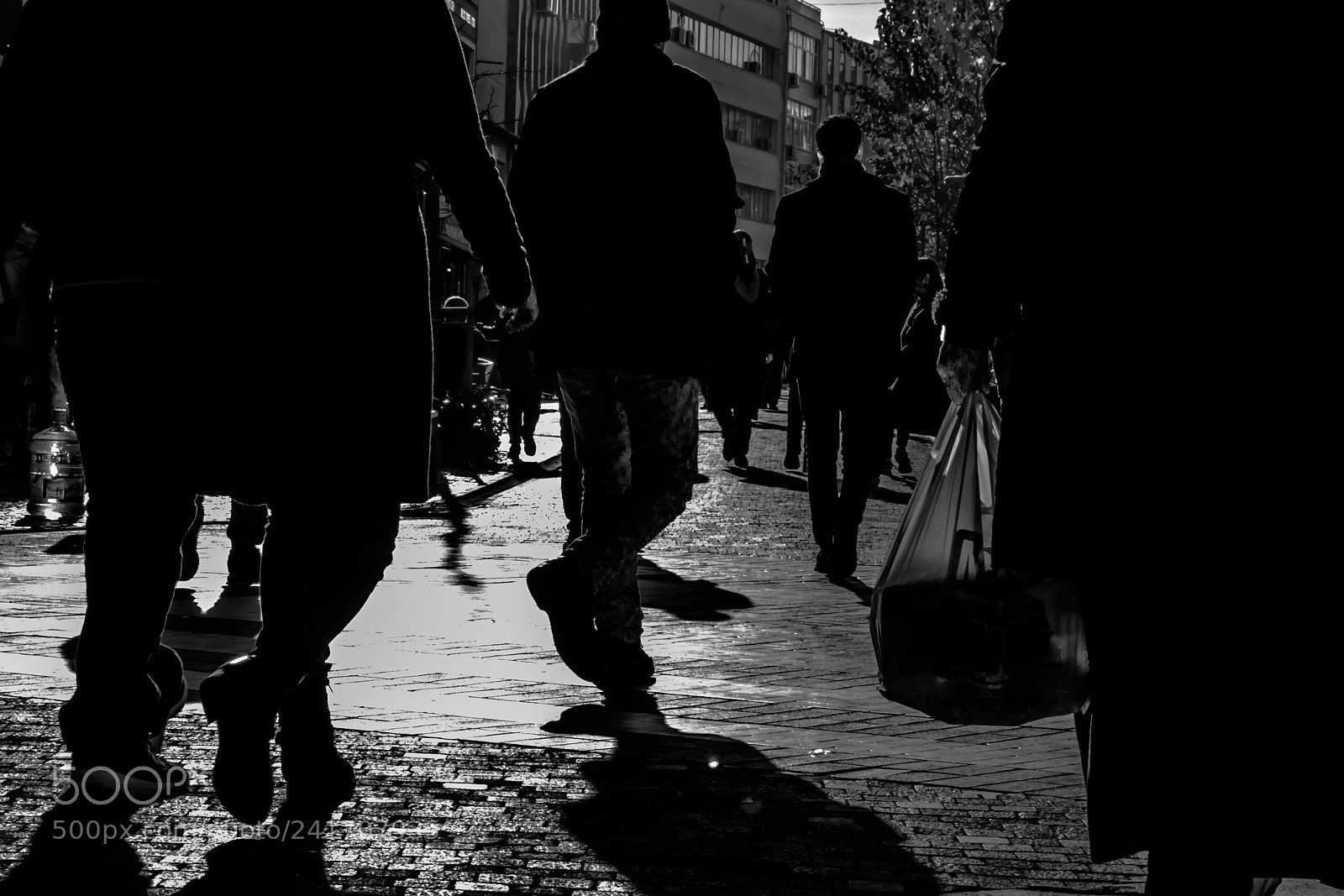 Canon EOS 800D (EOS Rebel T7i / EOS Kiss X9i) sample photo. Shadows photography