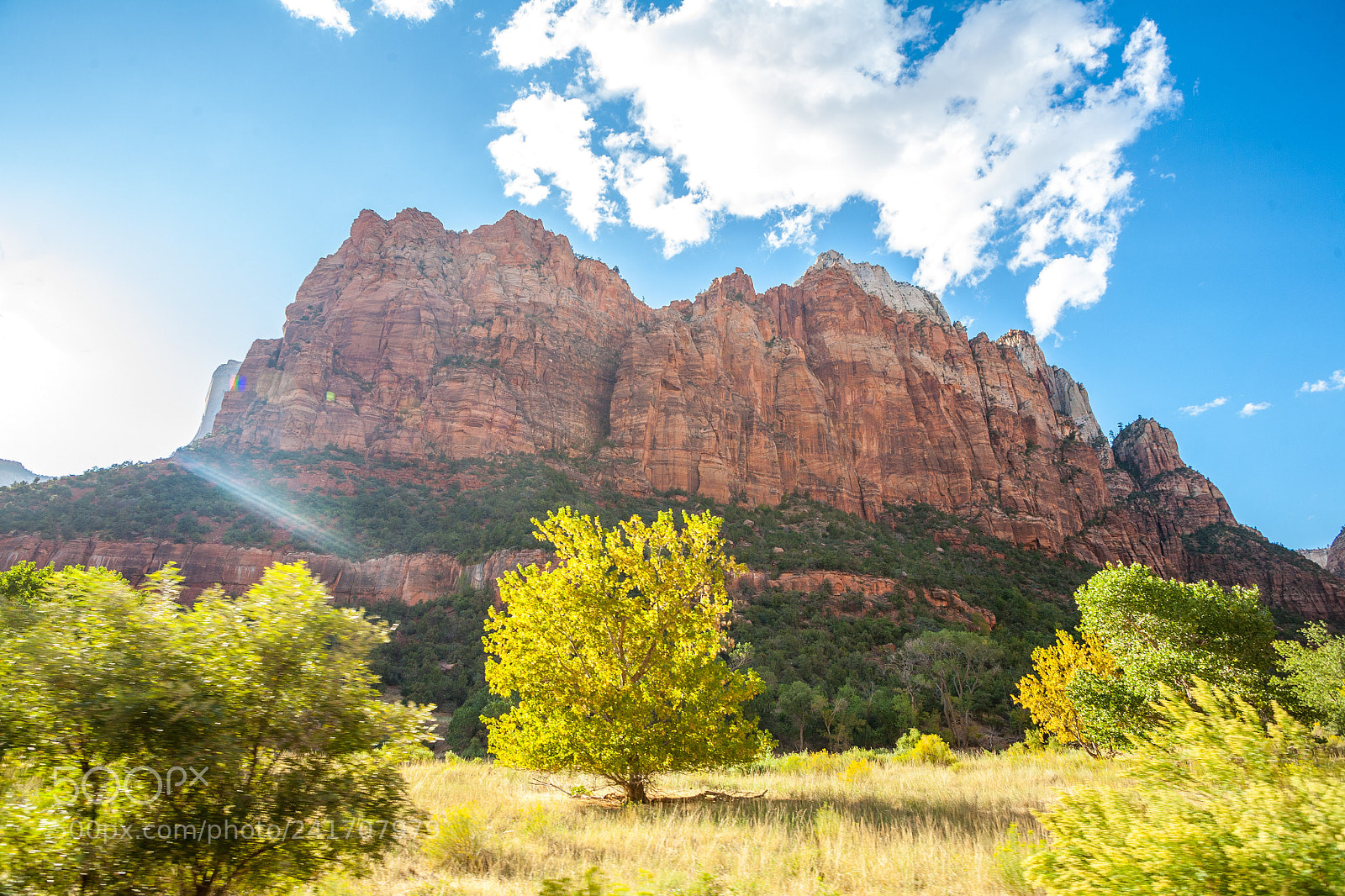 Canon EOS 5D sample photo. Zion national park photography